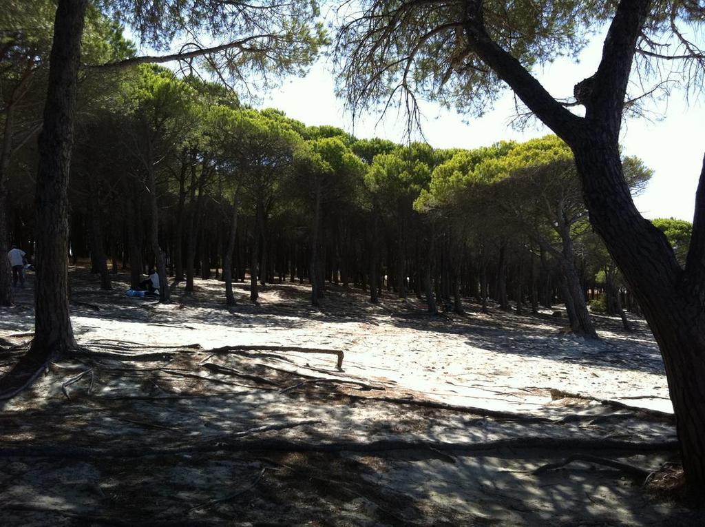 Case Vacanze Budoni Beach Pokój zdjęcie